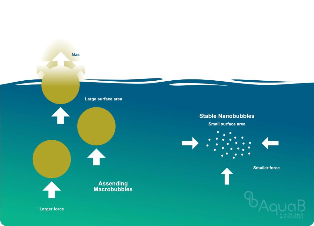 Nanobubbles: Re-Engineering Water Treatment – And Beyond | AquaB ...