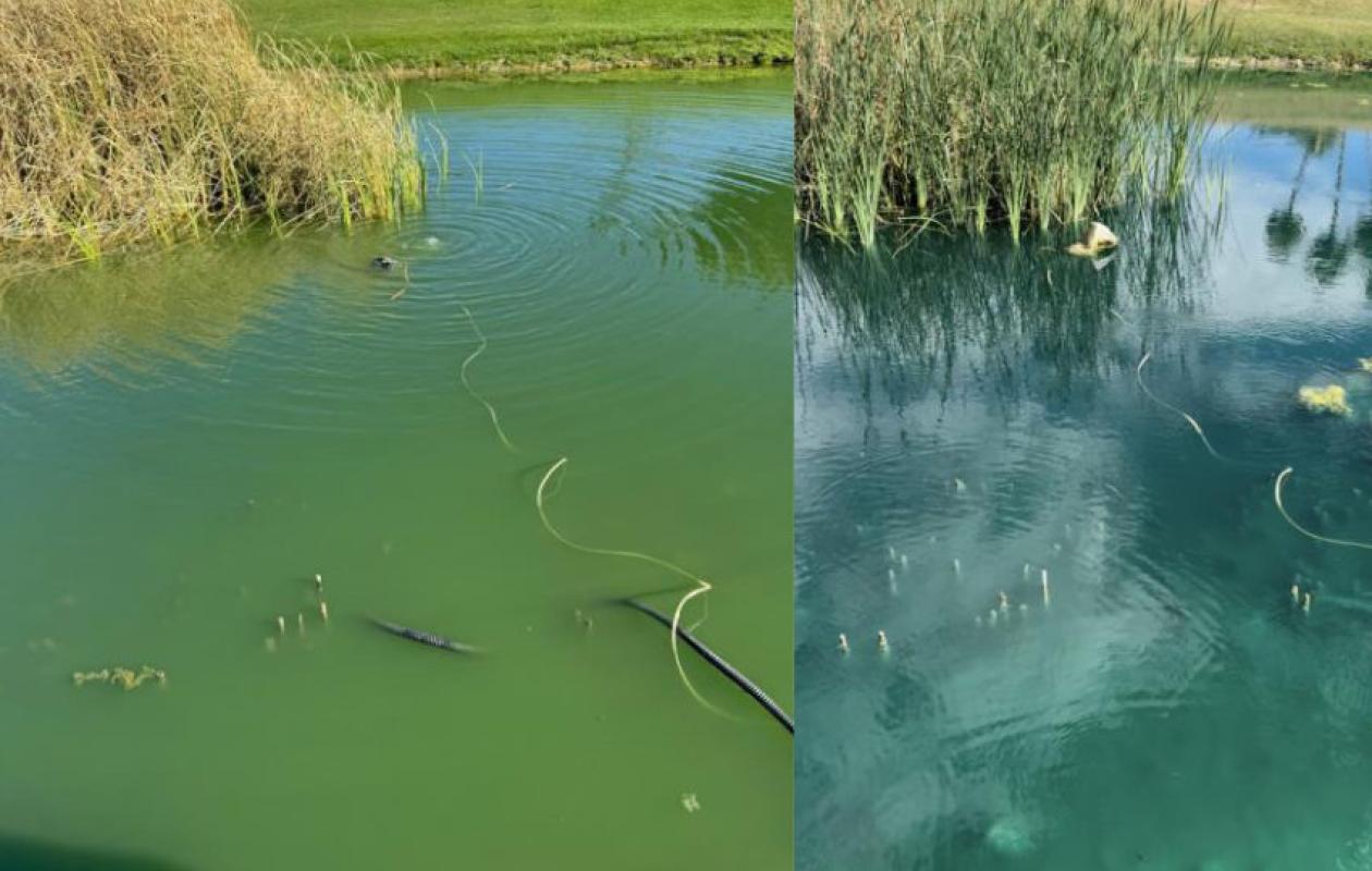 Poseidon before and after