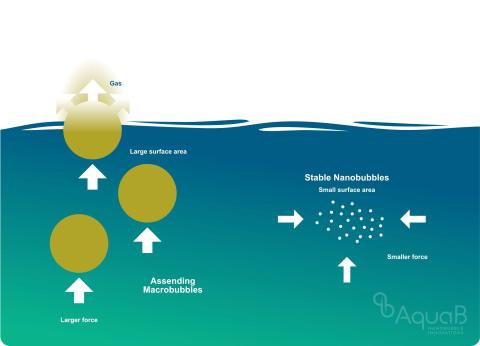 Graphic illustrating the stabile nature of nanobubbles